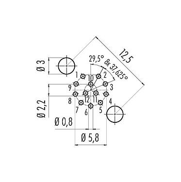 導体レイアウト 86 0532 1120 00012 - M12 メスパネルマウントコネクタ, 極数: 12, シールド可能, THT, IP68, UL, PG 9, 前面取り付け