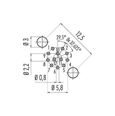 Lábkiosztás M12 panelre szerelhető foglalat, : 12, árnyékolható, THT, IP68, UL 2238, PG 9, hátsó panel felszerelés, öntött