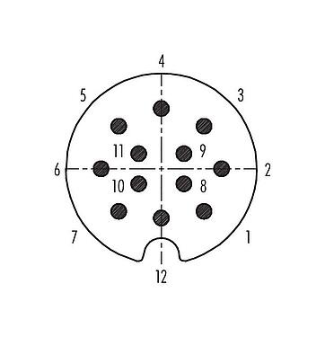Contactconfiguratie (Insteekbereik) Bajonet Male panel mount connector, aantal polen: 12, onafgeschermd, soldeer, IP40, Frontaansluiting