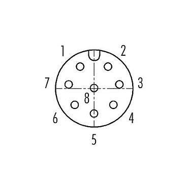 Arranjo de contato (Lado do plug-in) M12 Passagem para cabine de controle, Contatos: 8, blindado, plugáveis, IP67, UL 2238, M12x1,0, Montagem no painel traseiro