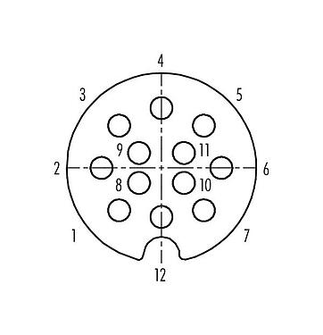 Contactconfiguratie (aansluitzijde) 09 0446 00 12 - M25 Kabeldoos, aantal polen: 12, 5,0-8,0 mm, schermbaar, soldeer, IP40