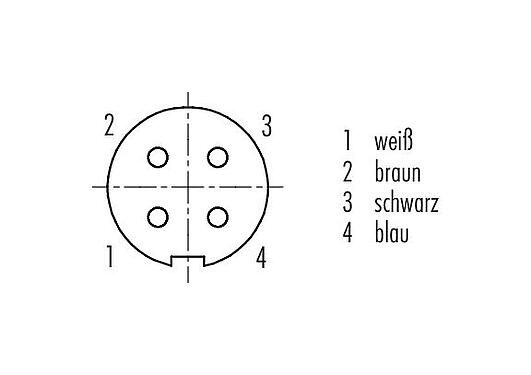 Polbild (Steckseite) 79 1410 72 04 - M9 Winkeldose, Polzahl: 4, geschirmt, am Kabel angespritzt, IP67, PUR, schwarz, 5 x 0,25 mm², 2 m