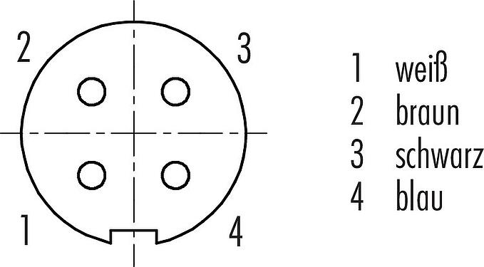 Polbild (Steckseite) M9 Kabeldose, Polzahl: 4, geschirmt, am Kabel angespritzt, IP67, PUR, schwarz, 5 x 0,25 mm², 5 m