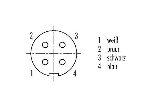 Polbild (Steckseite) M9 Kabeldose, Polzahl: 4, geschirmt, am Kabel angespritzt, IP67, PUR, schwarz, 5 x 0,25 mm², 5 m