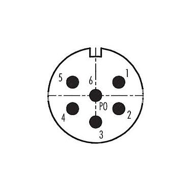 Disposition des contacts (Côté plug-in) 99 4635 70 06 - M23 Connecteur mâle coudé, Contacts: 6, 6,0-10,0 mm, non blindé, souder, IP67