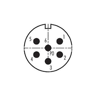 Contact arrangement (Plug-in side) M23 Square male panel mount connector, Contacts: 6, unshielded, solder, IP67, M2 (4x), Rear mounting