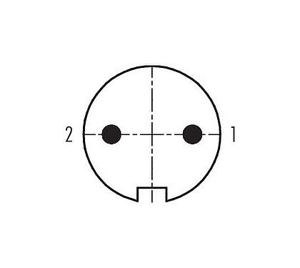 Disposition des contacts (Côté plug-in) 99 0601 00 02 - Baïonnette Connecteur mâle, Contacts: 2, 3,0-6,0 mm, non blindé, souder, IP40