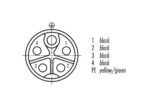 Contact arrangement (Plug-in side) 76 0246 0134 00035-0200 - M12 Female panel mount connector, Contacts: 5, unshielded, single wires, IP68, UL, M16x1.5