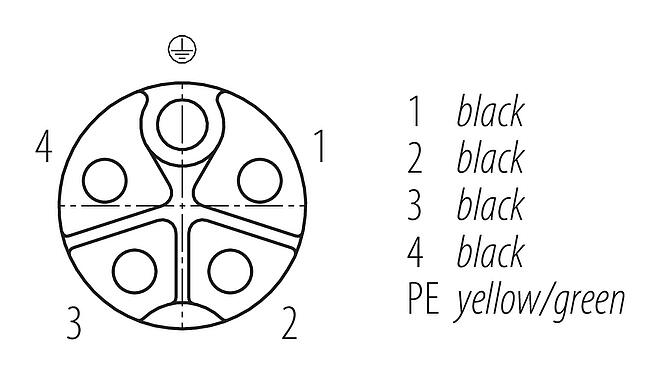 Disposizione dei contatti (lato connessione) M12 Connettore angolare femmin, Numero poli: 4+PE, non schermato, stampato sul cavo, IP68, UL 2238, PUR, nero, 5 x 2,50 mm², 2 m