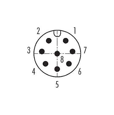 Contactconfiguratie (aansluitzijde) 09 5244 10 08 - M12 Doorvoer voor schakelkast, aantal polen: 8, afgeschermd, stekerbaar, IP67, UL, M12x1,0