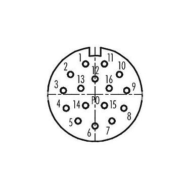 Contact arrangement (Plug-in side) M23 Female cable connector, Contacts: 16, 6.0-10.0 mm, unshielded, solder, IP67