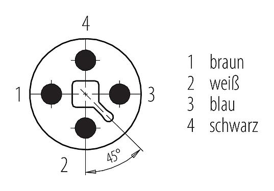Polbild (Steckseite) M12 Flanschstecker, Polzahl: 4, ungeschirmt, Litzen, IP68, UL 2238, M16x1,5, Frontmontage