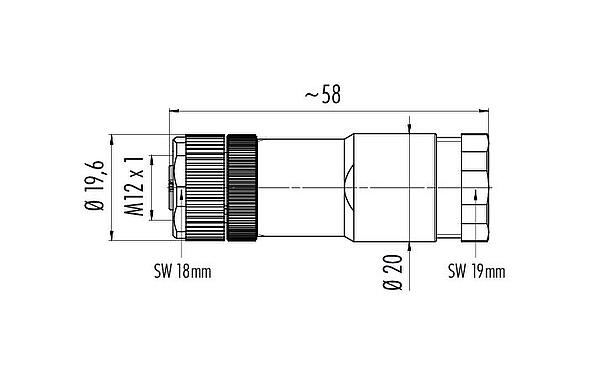 Scale drawing 99 0436 142 05 - M12 Female cable duo connector, Contacts: 5, 2.1-3.0 mm (2 cable), unshielded, screw clamp, IP67, UL