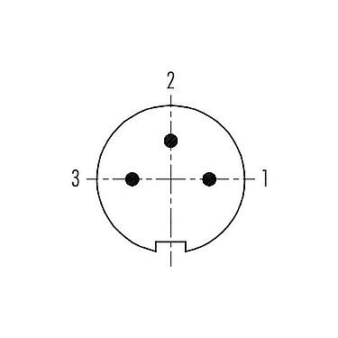 Disposizione dei contatti (lato connessione) 99 4905 00 03 - Spingere Tirare Connettore  cavo maschio, Numero poli: 3, 3,5-5,0 mm, schermabile, saldare, IP67