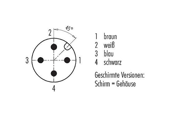 Polbild (Steckseite) M12 Winkelstecker, Polzahl: 4, geschirmt, am Kabel angespritzt, IP67, UL 2238, PUR, schwarz, 4 x 0,34 mm², 5 m