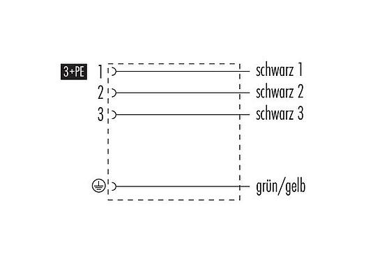 Belegungspläne 31 5235 300 000 - Magnetventilsteckdose, Polzahl: 3+PE, ungeschirmt, am Kabel angespritzt, IP67, PUR, schwarz, 3 m