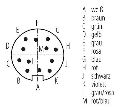 Polbild (Steckseite) 77 6429 0000 50712-0500 - M16 Kabelstecker, Polzahl: 12, ungeschirmt, am Kabel angespritzt, IP68, PUR, schwarz, 12 x 0,25 mm², 5 m