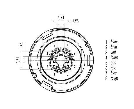 Disposition des contacts (Côté plug-in) 77 6005 0000 20008-0500 - Baïonnette Connecteur mâle, Contacts: 8, non blindé, souder, IP67, PVC, gris, 8 x 0,25 mm², 5 m