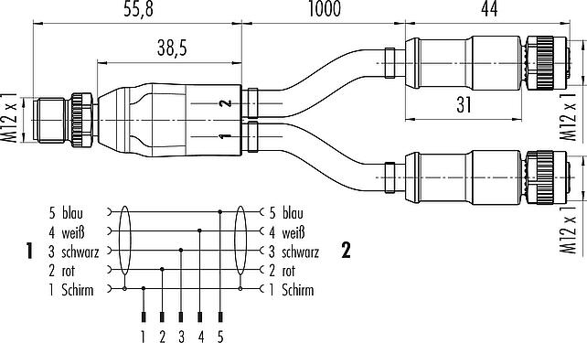 Maßzeichnung M12 Kabelsplitter Kabelstecker - 2 Kabeldosen, Polzahl: 5, geschirmt, am Kabel angespritzt, IP67, CAN-Bus, PUR, violett, 1 x 2 x AWG 22 + 1 x 2 x AWG 24, 1 m