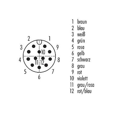Polbild (Steckseite) M12 Vierkant-Flanschstecker, Polzahl: 12, ungeschirmt, Litzen, IP40, UL 2238, M3 (4x), Frontmontage