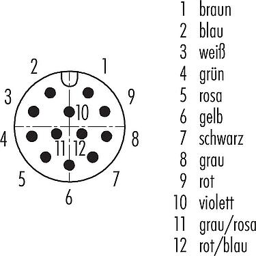 Polbild (Steckseite) M12 Vierkant-Flanschstecker, Polzahl: 12, ungeschirmt, Litzen, IP40, UL 2238, M3 (4x), Frontmontage, vergossen