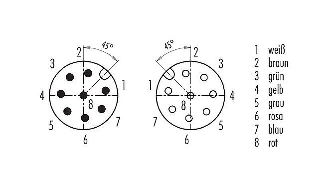 Polbild (Steckseite) M12 Verbindungsleitung Kabelstecker - Kabeldose, Polzahl: 8, ungeschirmt, am Kabel angespritzt, IP67/IP69K, UL 2238, PUR, schwarz, 8 x 0,25 mm², 1 m