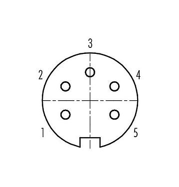 Uspořádání kontaktů (strana zástrčky) 99 4814 00 05 - Push Pull Kabelová box, : 5, 4,0-8,0 mm, stínitelné, pájka, IP67