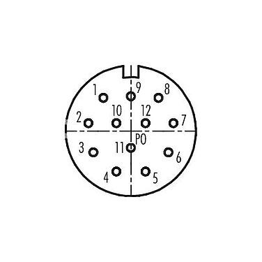 접점 배치(접속측) M23 케이블 소켓, 콘택트 렌즈: 12, 6.0-10.0mm, 차폐되지 않음, 솔더, IP67