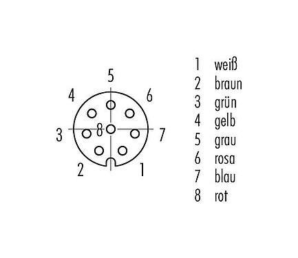 Polbild (Steckseite) M8 Kabeldose, Polzahl: 8, ungeschirmt, am Kabel angespritzt, IP67/IP69K, UL 2238, PUR, schwarz, 8 x 0,25 mm², 2 m