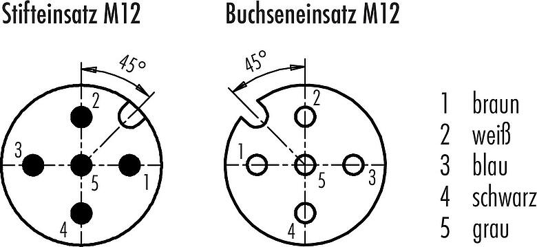 Polbild (Steckseite) M12 Verbindungsleitung Kabelstecker - Kabeldose, Polzahl: 5, geschirmt, am Kabel angespritzt, IP67, UL 2238, PUR, schwarz, 5 x 0,25 mm², 2 m