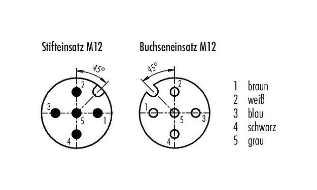 Polbild (Steckseite) M12 Verbindungsleitung Kabelstecker - Kabeldose, Polzahl: 5, geschirmt, am Kabel angespritzt, IP67, UL 2238, PUR, schwarz, 5 x 0,25 mm², 1 m
