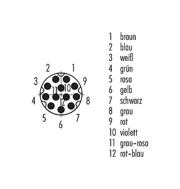 Polbild (Steckseite) M8 Kabelstecker, Polzahl: 12, ungeschirmt, am Kabel angespritzt, IP67/IP69K, UL 2238, PUR, schwarz, 12 x 0,09 mm², 5 m