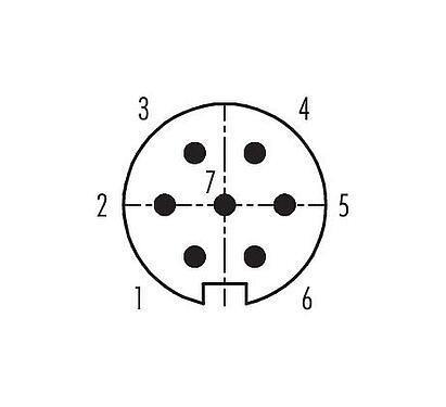Polbild (Steckseite) 99 0125 77 07 - M16 Winkelstecker, Polzahl: 7 (07-a), 6,0-8,0 mm, ungeschirmt, löten, IP67