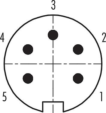 Contactconfiguratie (Insteekbereik) Push Pull Male panel mount connector, aantal polen: 5, onafgeschermd, soldeer, IP40, M21x1,0, Frontaansluiting