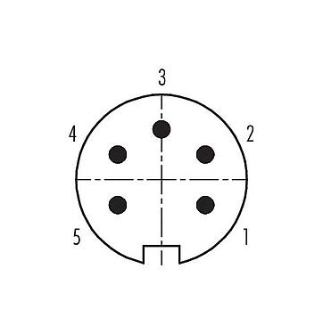 Polbild (Steckseite) 99 4813 00 05 - Push Pull Kabelstecker, Polzahl: 5, 4,0-8,0 mm, schirmbar, löten, IP67