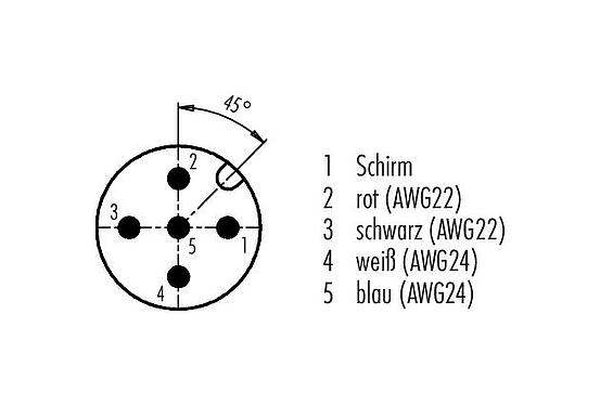 Polbild (Steckseite) M12 Kabelstecker, Polzahl: 5, geschirmt, am Kabel angespritzt, IP68, UL 2238, CAN-Bus, PUR, violett, 1 x 2 x AWG 22 + 1 x 2 x AWG 24, 10 m