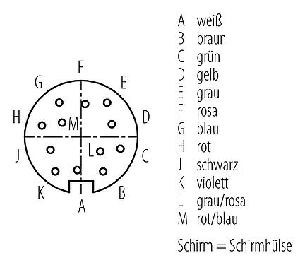 Polbild (Steckseite) M16 Kabeldose, Polzahl: 12, geschirmt, am Kabel angespritzt, IP67, PUR, schwarz, 12 x 0,25 mm², 2 m