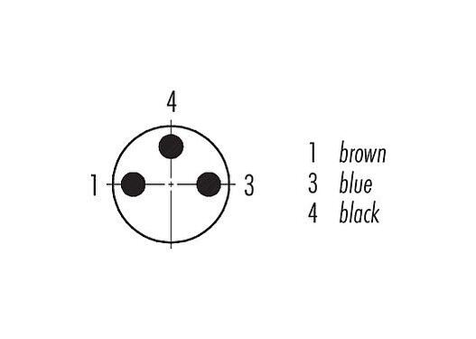Pólus ábra (csatlakozó oldal) M8 derékszögű csatlakozó, : 3, árnyékolatlan, kábelre öntött, IP67, UL 2238, PVC, szürke, 3 x 0,34 mm², 2 m
