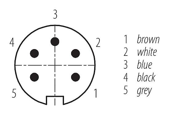 Contactconfiguratie (Insteekbereik) M16 Kabelstekker, aantal polen: 5, onafgeschermd, aan de kabel aangegoten, IP67, PUR, zwart, 5 x 0,34 mm², 2 m
