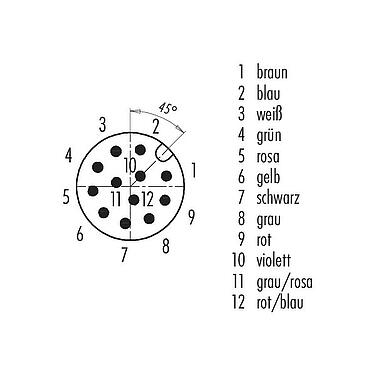 Polbild (Steckseite) M12 Flanschstecker, Polzahl: 12, ungeschirmt, Litzen, IP68, UL 2238, PG 9, Frontmontage, Kodierungsausrichtung positionierbar, vergossen