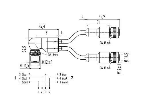 Scale drawing 77 9827 3430 50003-0200 - M12 Male angled duo connector - 2 female cable connectors M12x1, Contacts: 4/3, unshielded, moulded on the cable, IP67, UL, PUR, black, 3 x 0.34 mm², 2 m