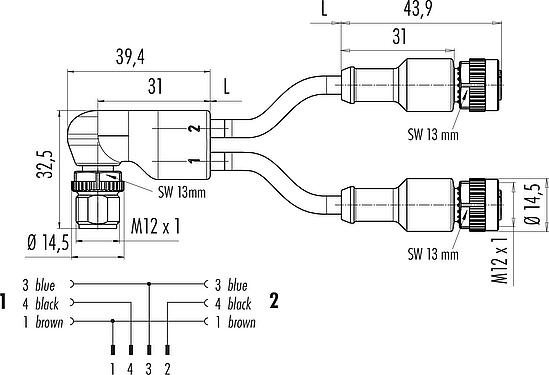 Scale drawing M12 Male angled cable splitter - 2 female cable connectors, Contacts: 4/3, unshielded, moulded on the cable, IP67, UL 2238, PUR, black, 3 x 0.34 mm², 2 m