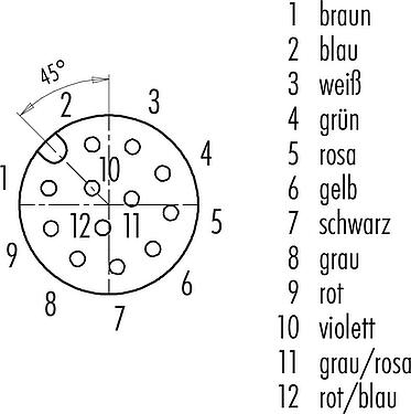 Polbild (Steckseite) M12 Flanschdose, Polzahl: 12, ungeschirmt, Litzen, IP68/IP69K, UL 2238, PG 9, Frontmontage, Kodierungsausrichtung positionierbar, vergossen