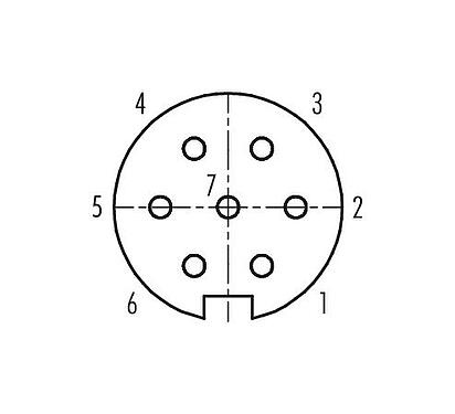 Contact arrangement (Plug-in side) 99 4826 00 07 - Push Pull Female cable connector, Contacts: 7, 4.0-8.0 mm, shieldable, solder, IP67