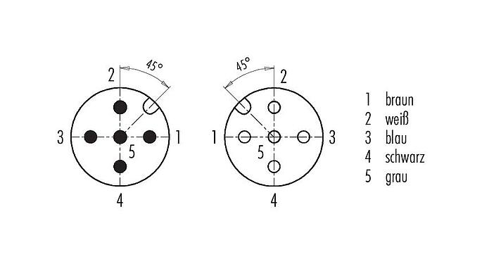 Polbild (Steckseite) 77 3430 3429 50005-0100 - M12/M12 Verbindungsleitung Kabelstecker - Kabeldose, Polzahl: 5, ungeschirmt, am Kabel angespritzt, IP69K, UL, PUR, schwarz, 5 x 0,34 mm², 1 m