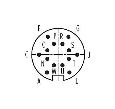 Contact arrangement (Plug-in side) 99 5651 75 14 - M16 Male angled connector, Contacts: 14 (14-b), 6.0-8.0 mm, shieldable, solder, IP67, UL