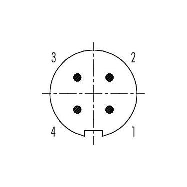 Disposition des contacts (Côté plug-in) 99 4909 00 04 - Push Pull Connecteur mâle, Contacts: 4, 3,5-5,0 mm, blindable, souder, IP67