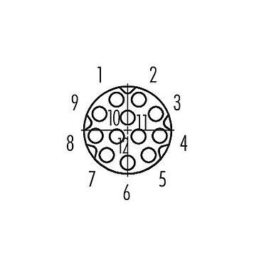 Disposition des contacts (Côté plug-in) M8 Embase femelle, Contacts: 12, non blindé, THT, IP67/IP69K, UL 2238, M10x0,75, Montage mural arrière, vissable par l'avant