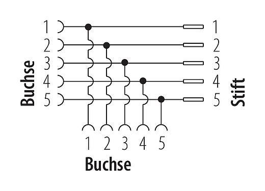 Belegungspläne 7/8" Zweifachverteiler, Polzahl: 5, ungeschirmt, IP68