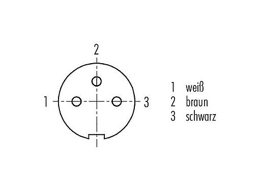 Polbild (Steckseite) M9 Kabeldose, Polzahl: 3, ungeschirmt, am Kabel angespritzt, IP67, PUR, schwarz, 3 x 0,25 mm², 2 m